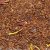 Rooibos Capetown