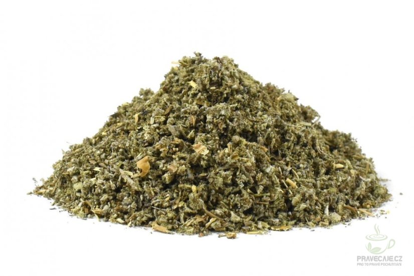 Šalvia lekárska vňať